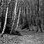 image: Image from the photoset ‘
revisited (iii)
’.