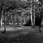 image: Image from the photoset ‘
revisited (iii)
’.