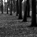 image: Image from the photoset ‘
revisited (iii)
’.