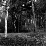 image: Image from the photoset ‘
revisited (iii)
’.