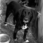 image: Image from the photoset ‘
revisited (iii)
’.