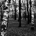 image: Image from the photoset ‘
revisited (iii)
’.