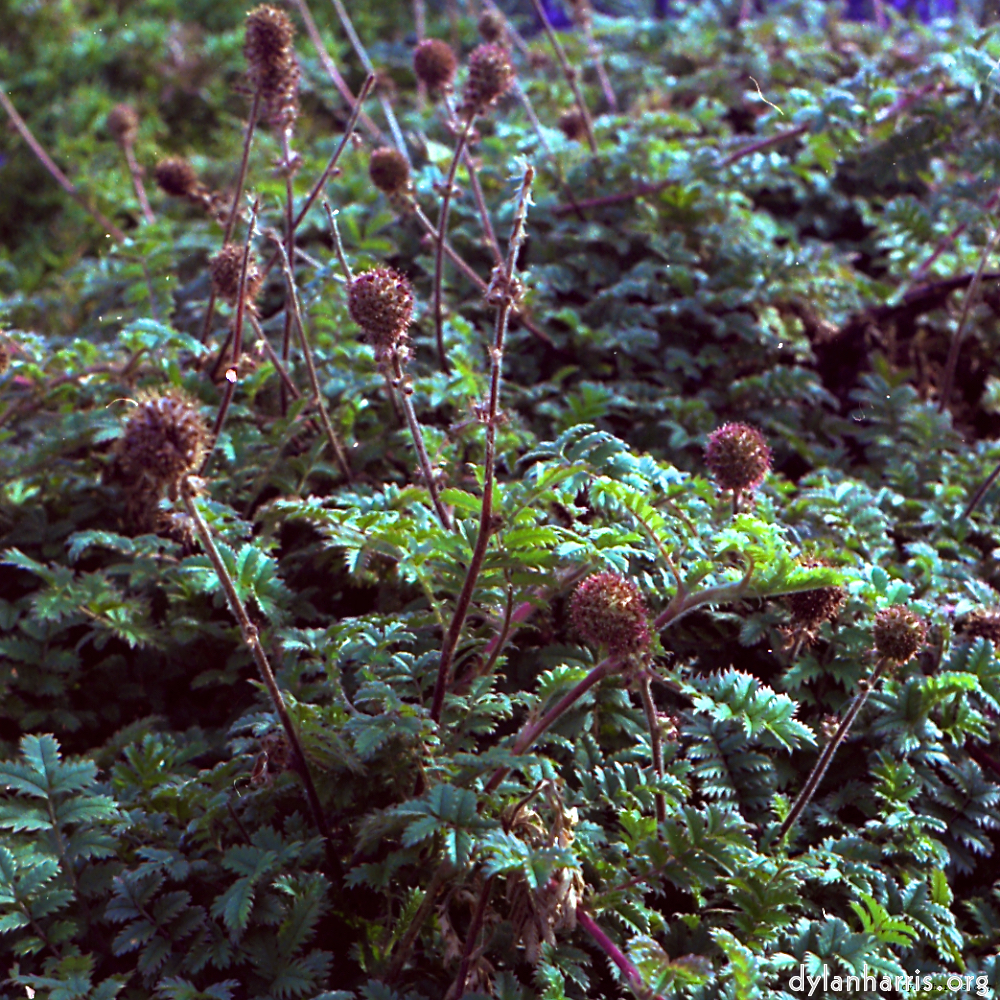 image: This is ‘
revisited (v) 10
’.