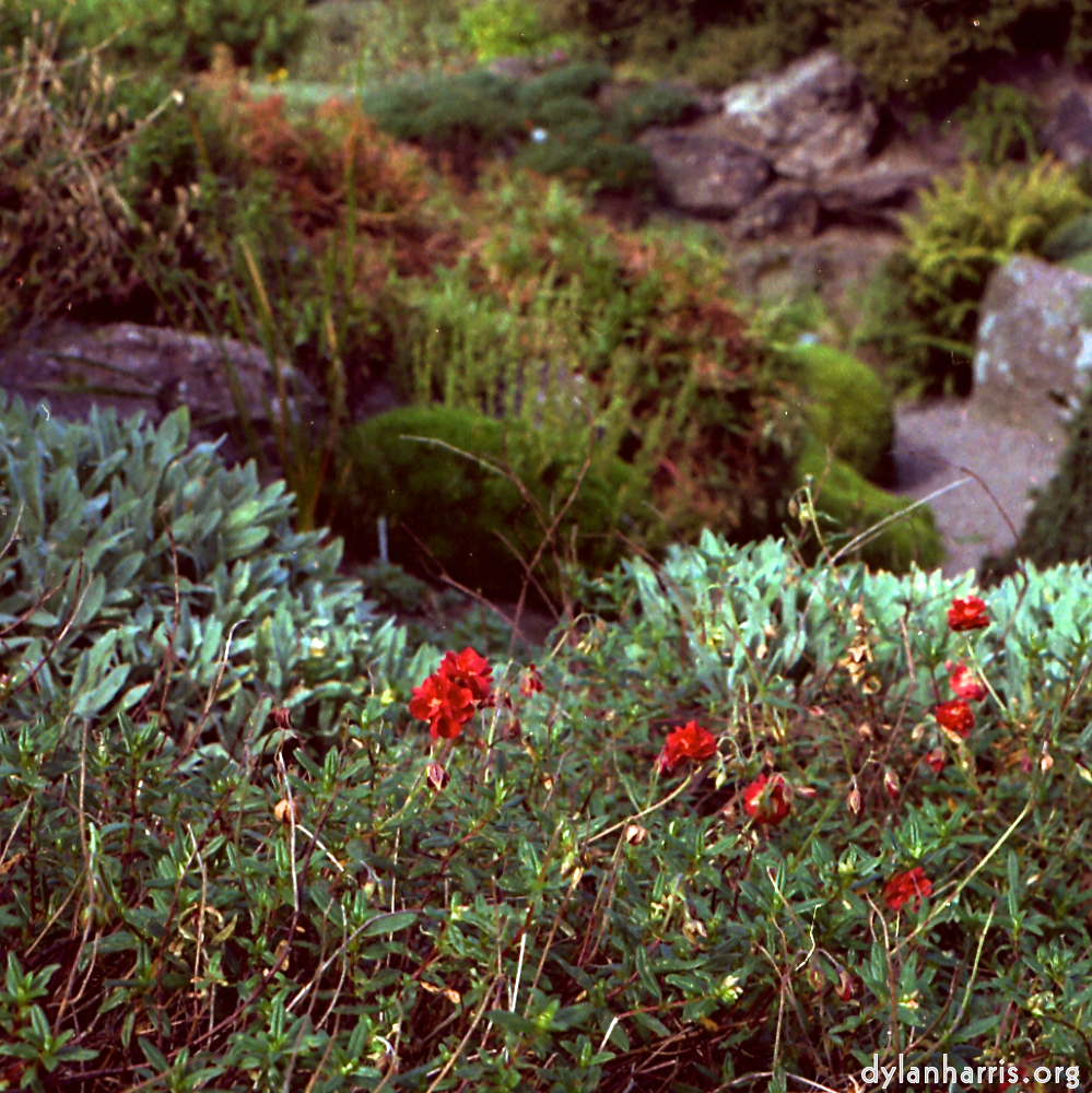 image: This is ‘
revisited (v) 4
’.