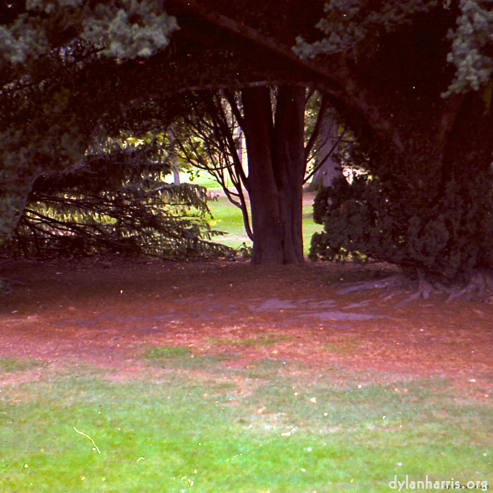 image: This is ‘
revisited (v) 5
’.