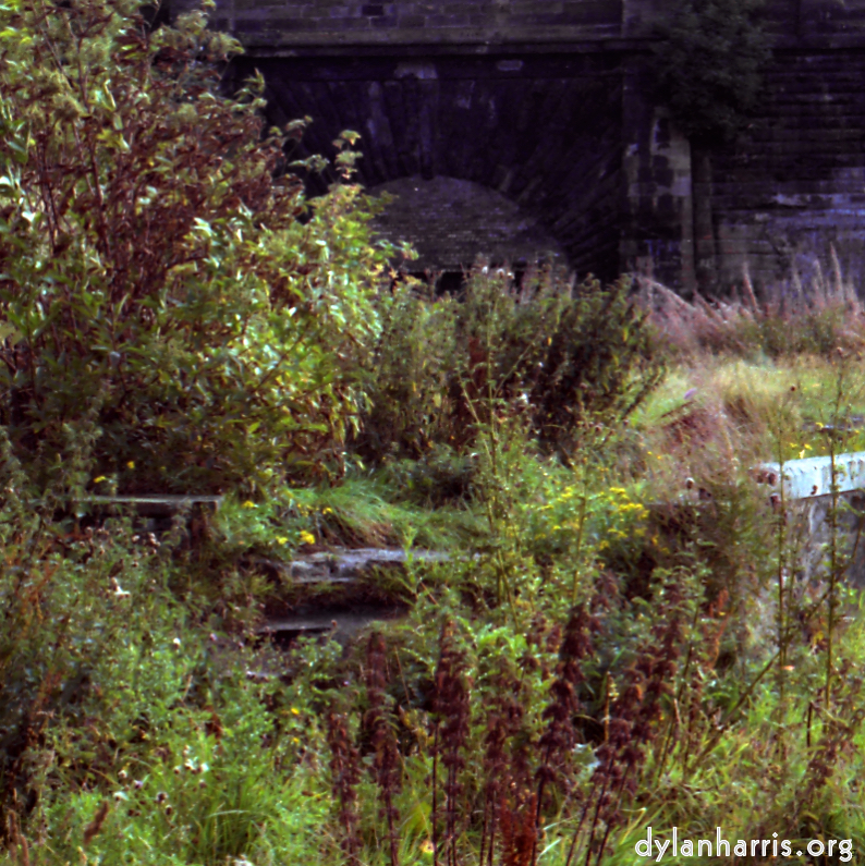 image: This is ‘
revisited (v) 7
’.