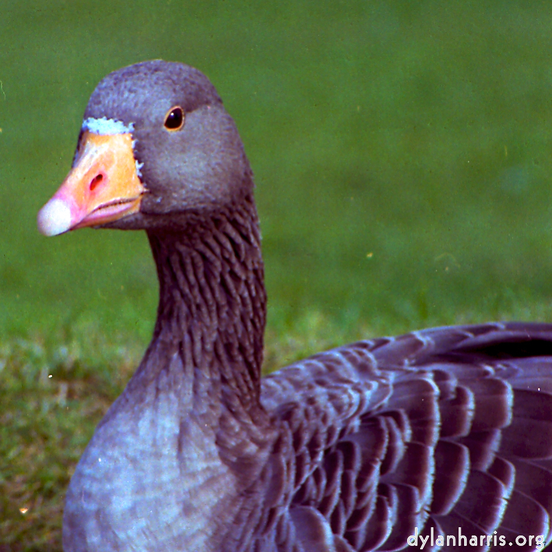 image: This is ‘
revisited (v) 8
’.