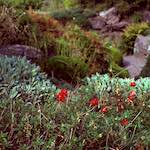 image: Image from the photoset ‘
revisited (v)
’.