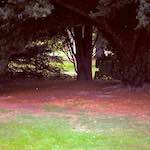 image: Image from the photoset ‘
revisited (v)
’.