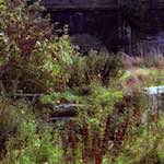 image: Image from the photoset ‘
revisited (v)
’.