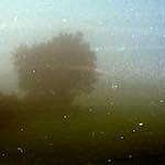 image: Image from the photoset ‘
revisited (viii)
’.