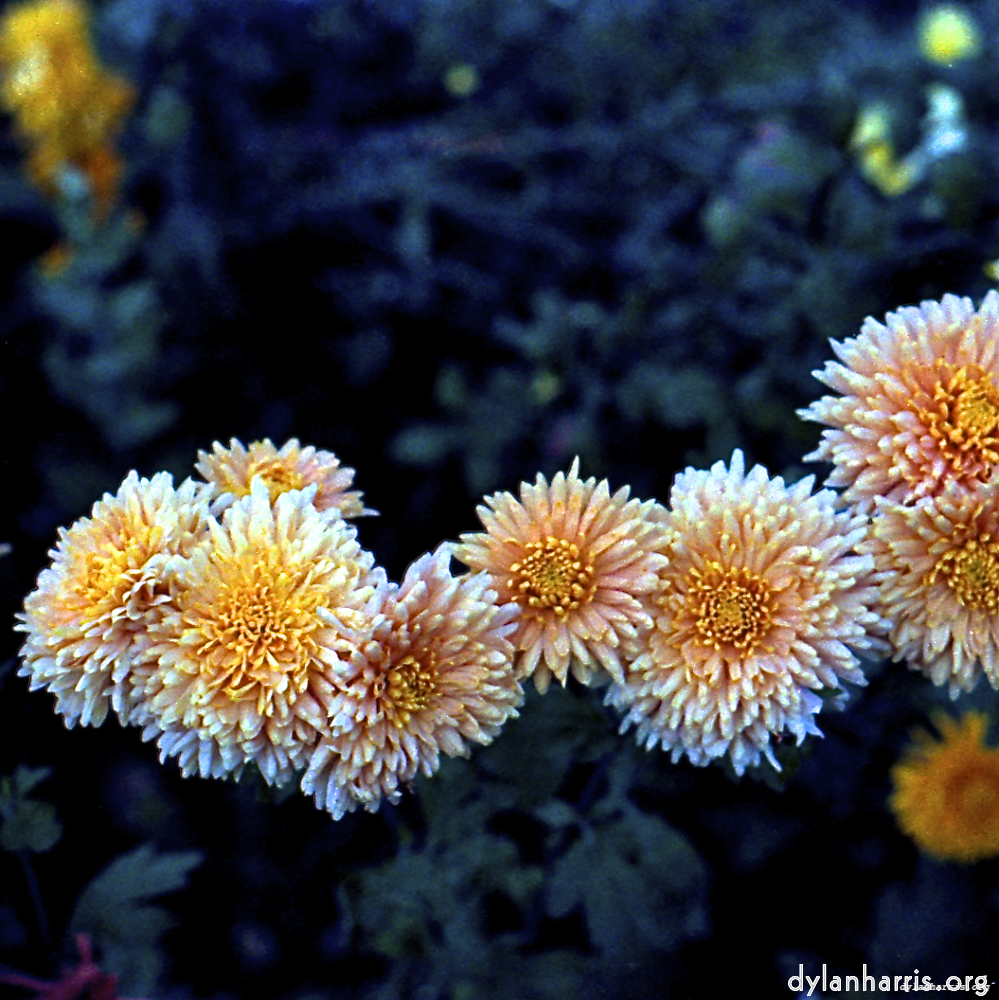 image: This is ‘
revisited (ix) 12
’.