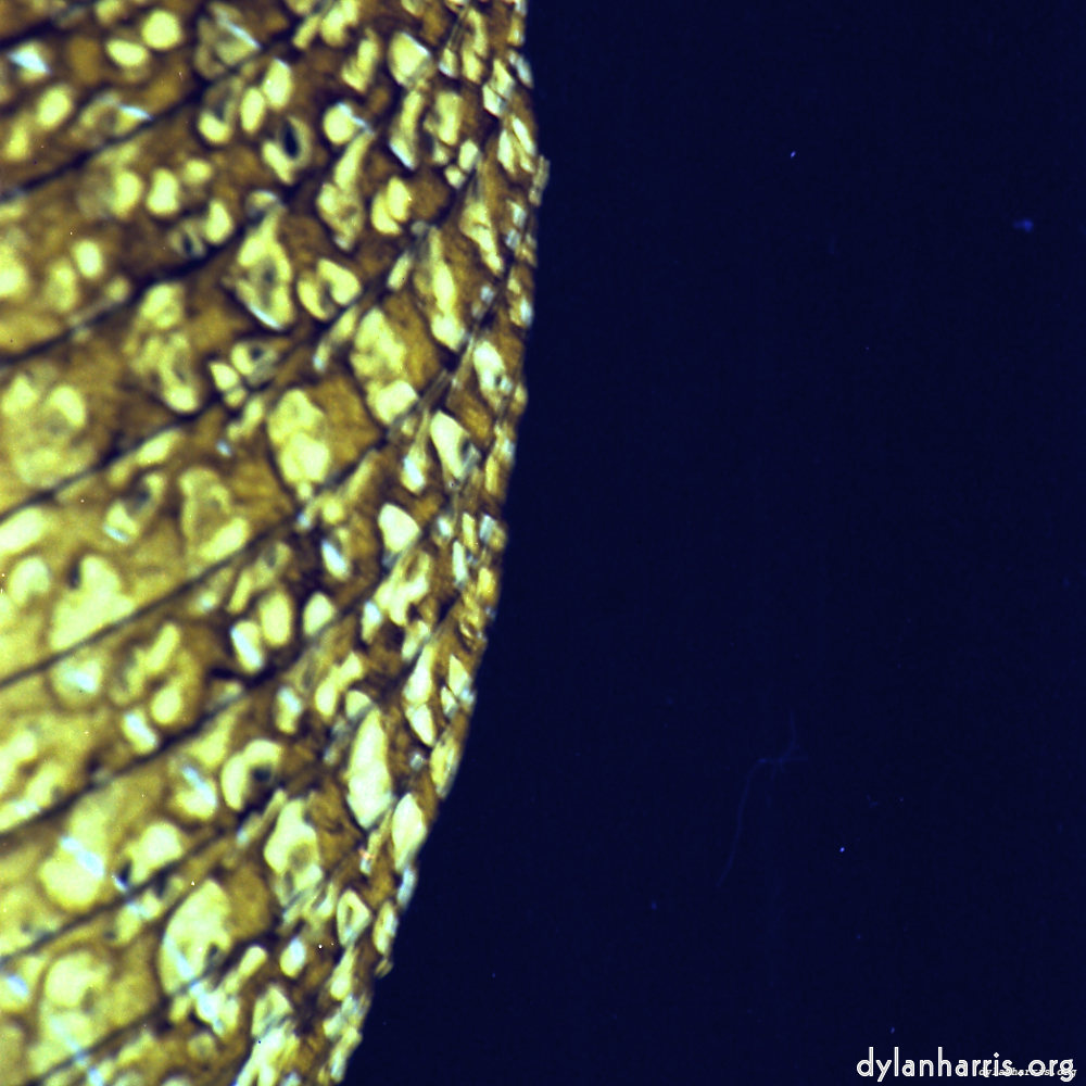 image: This is ‘
revisited (x) 3
’.