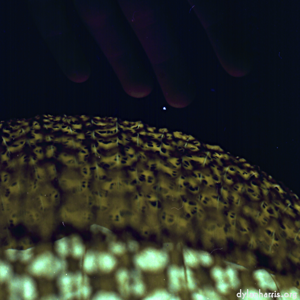 image: This is ‘
revisited (x) 5
’.