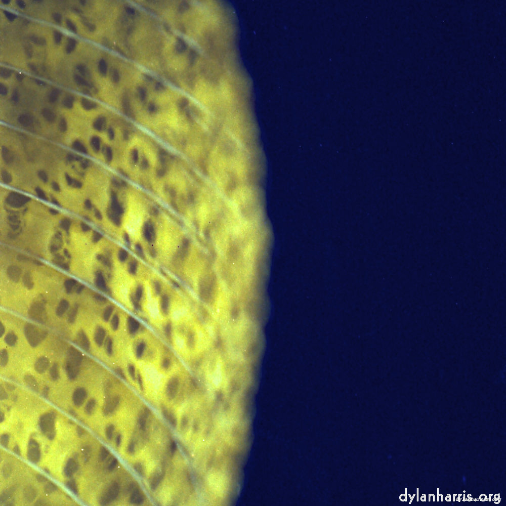 image: This is ‘
revisited (x) 9
’.