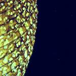 image: Image from the photoset ‘
revisited (x)
’.