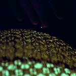 image: Image from the photoset ‘
revisited (x)
’.