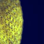 image: Image from the photoset ‘
revisited (x)
’.