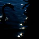 image: Image from the photoset ‘
revisited (xvii)
’.