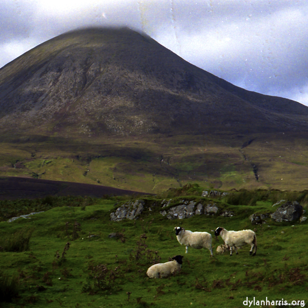 image: Voici ‘revisité (xi) 7’.