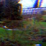 Image: Third image from the photoset 'revisited (xiii)'.