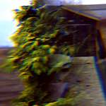 Image: Fifth image from the photoset 'revisited (xiii)'.