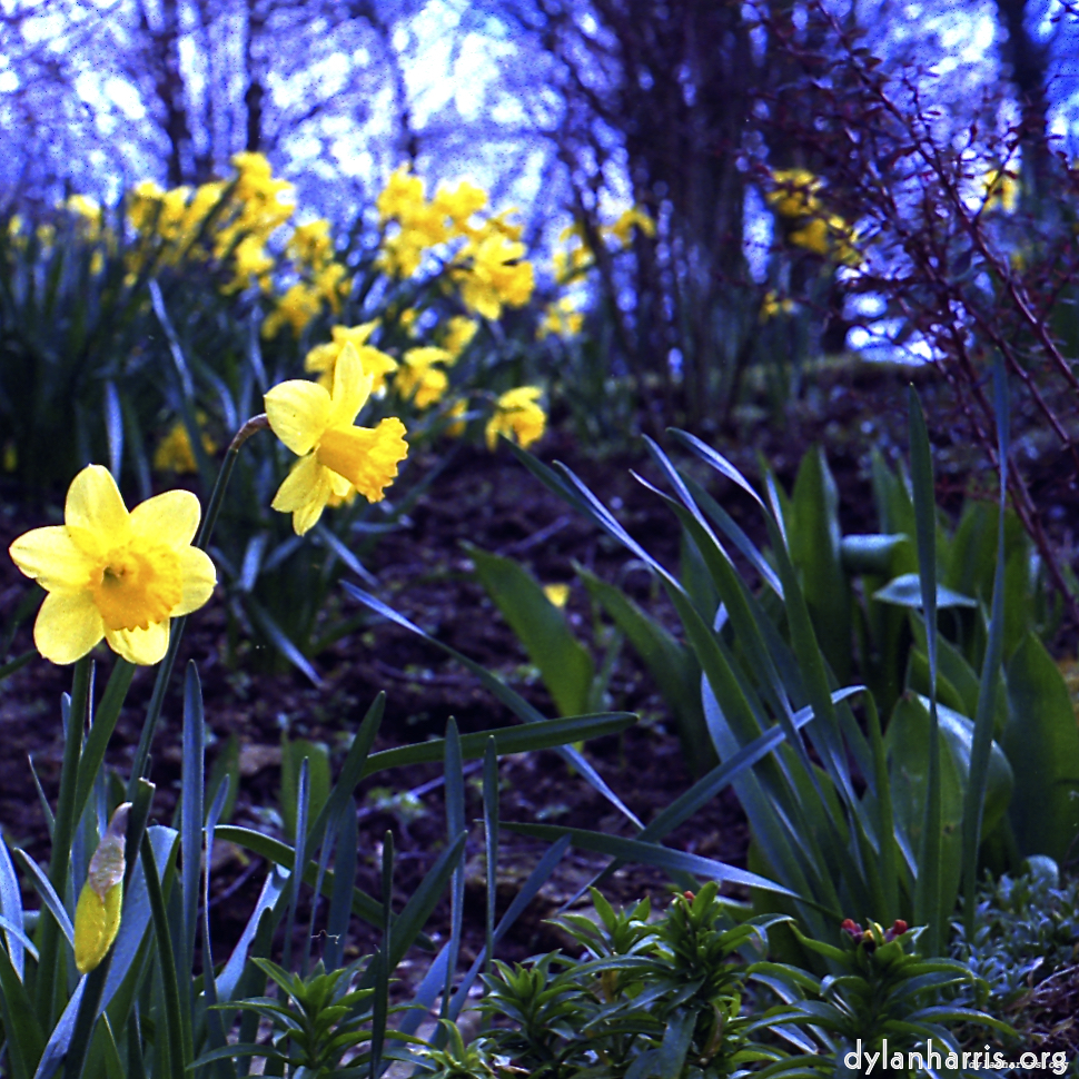 Image 'revisited (xiv) 2'.