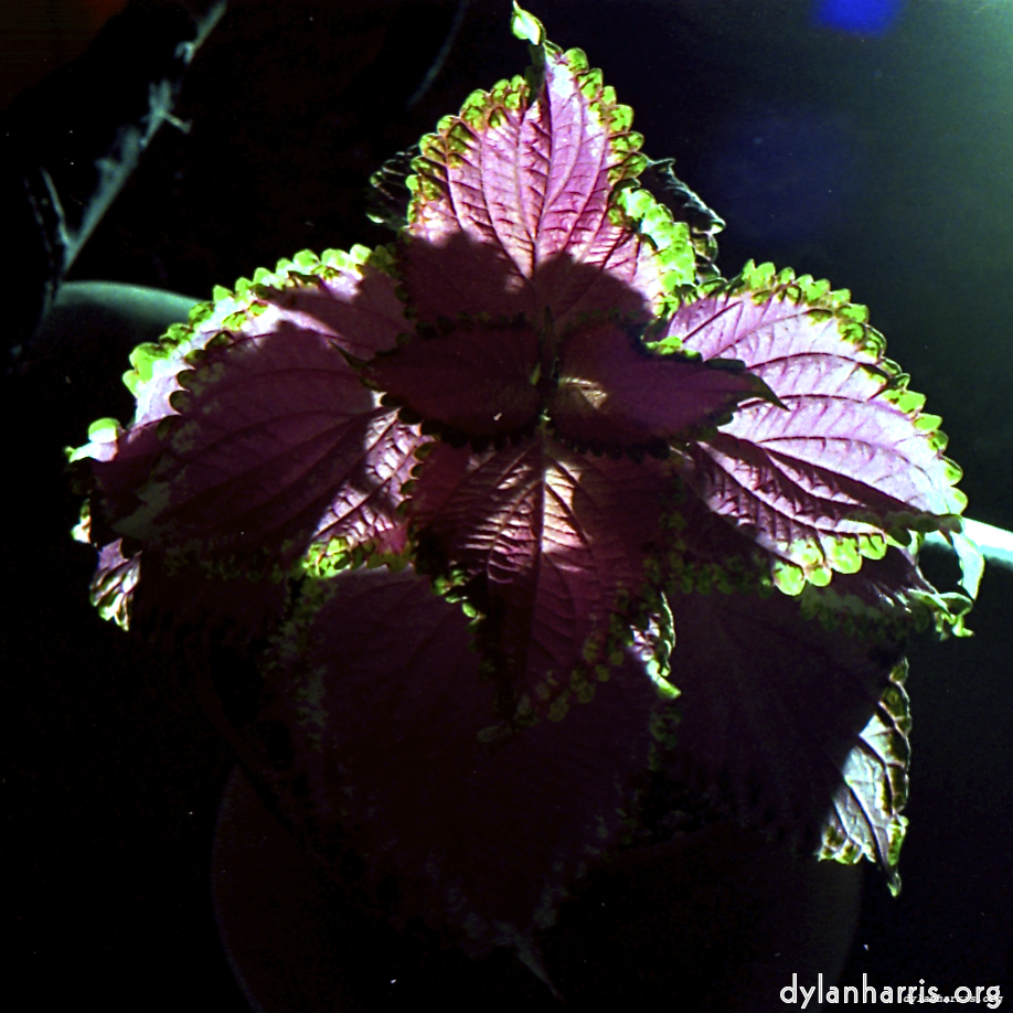 Image 'revisited (xiv) 8'.