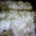 Third image from the photoset 'revisited (xiv)'.