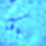 image: The Rictus Flag