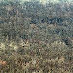 Ninth image from the photoset 'revisited (xiv)'.