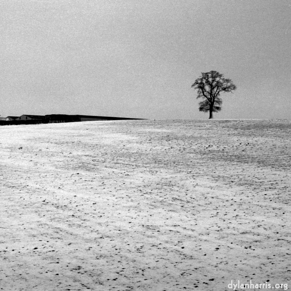 Image: Image 'revisited (xix) 1'.