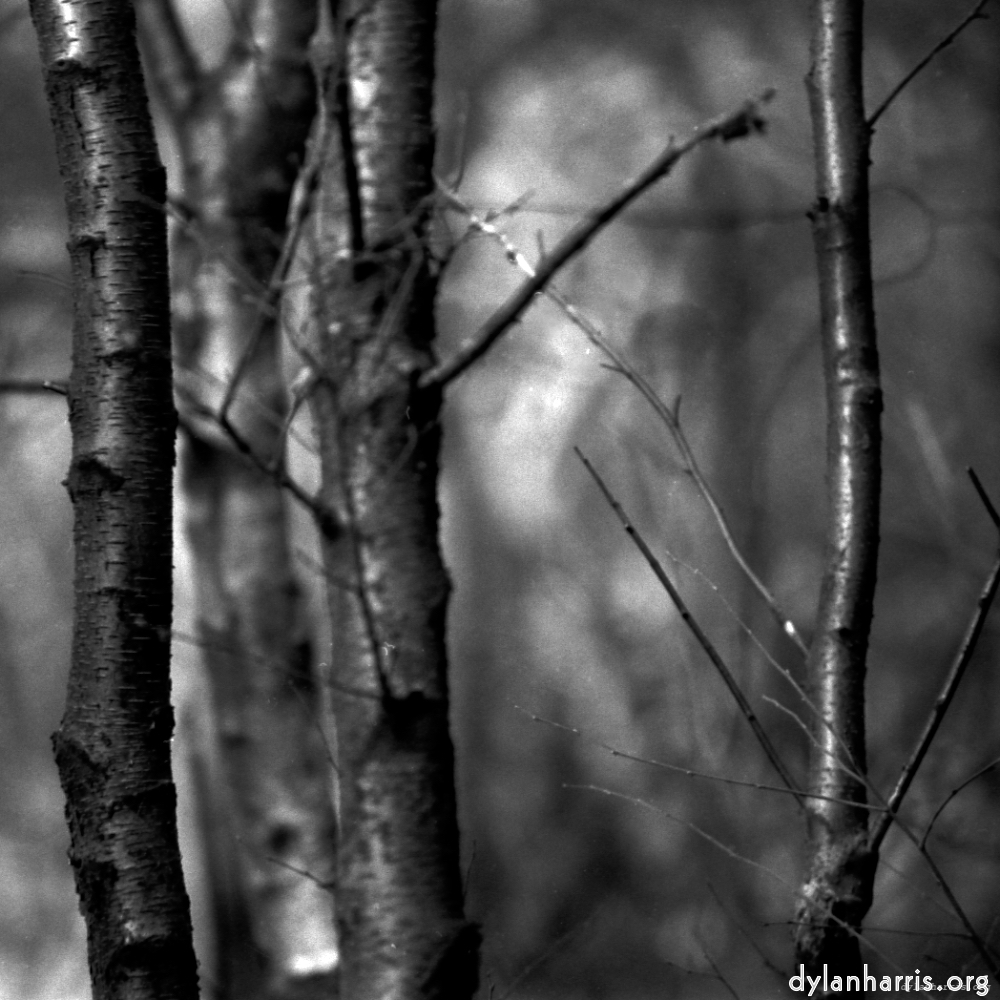 Image: Image 'revisited (xix) 2'.