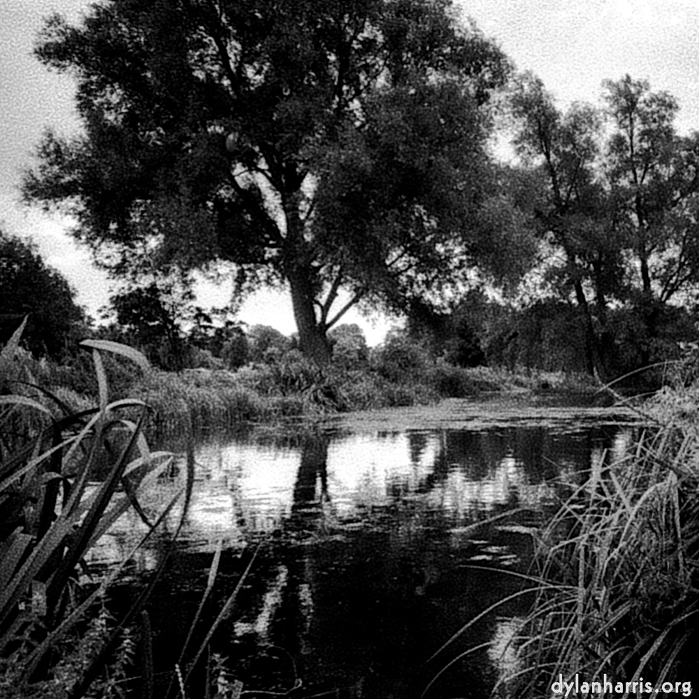 image: This is ‘
revisited (xix) 6
’.