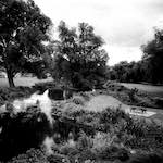 image: Image from the photoset ‘
revisited (xix)
’.