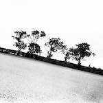 image: Image from the photoset ‘
revisited (xix)
’.