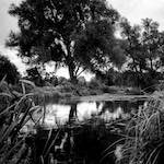 image: Image from the photoset ‘
revisited (xix)
’.