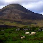 image: Image from the photoset ‘
revisited (xi)
’.