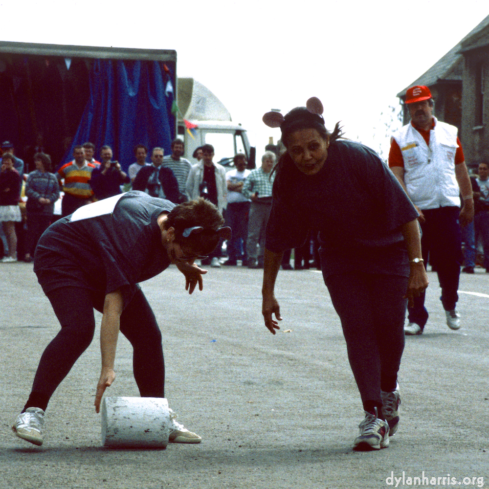 Image: Image 'stilton (ii) 3'.