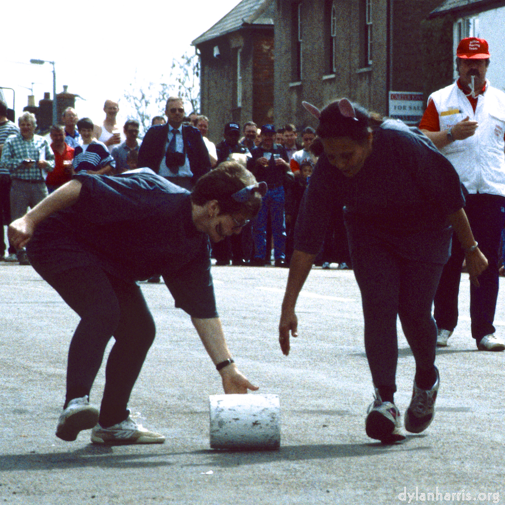 Image: Image 'stilton (ii) 5'.