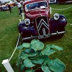 Image: Seventh image from the photoset 'citroën (xxii)'.