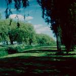 Fifth image from the photoset 'crowland'.