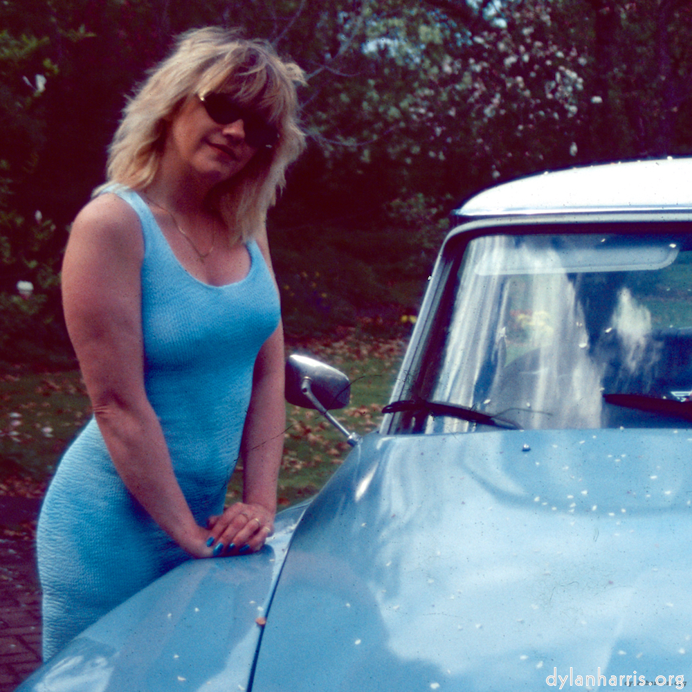 Image 'dawn (xii) 1'.