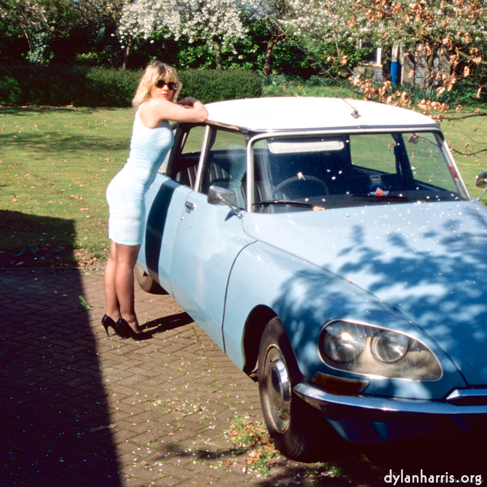 Image: Image 'dawn (x) 6'.