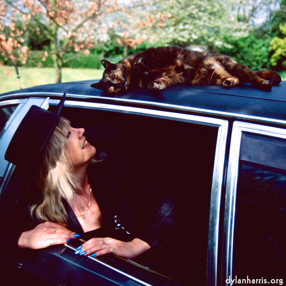 Image 'dawn (vii) 3'.