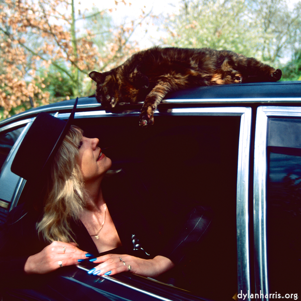 Image 'dawn (vii) 5'.