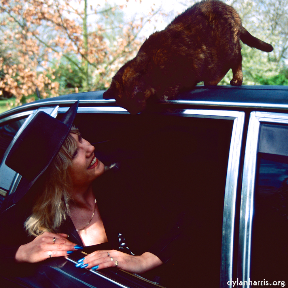 Image: three pretty ladies