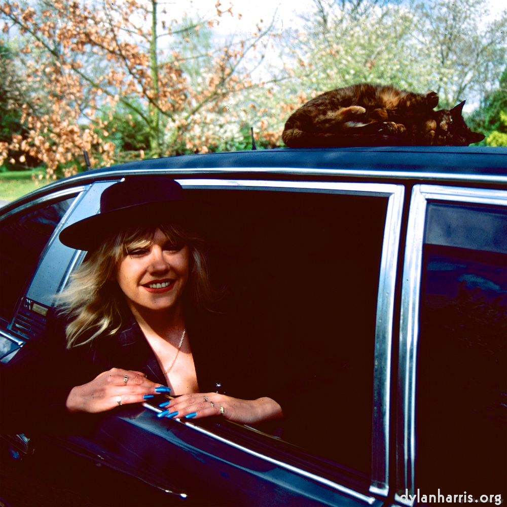 Image 'dawn (vii) 7'.