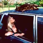 Second image from the photoset 'dawn (vii)'.