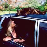 Third image from the photoset 'dawn (vii)'.